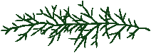 Kolodinsky logo dark