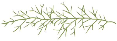 Kolodinsky Branch Logo